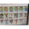 Image 11 : 78 1971-1972 OPC Hockey Cards Framed