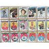 Image 16 : 66 Hockey Cards Framed