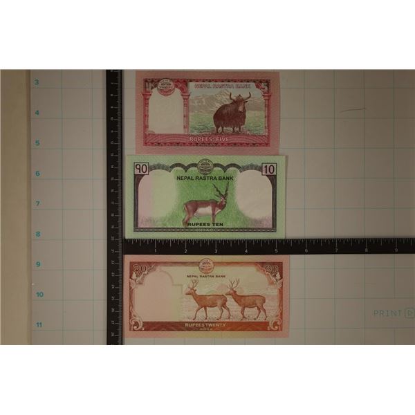 3-2020 NEPAIL CRISP UNC, COLORIZED BILLS: 5 RUPEES