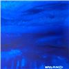 Image 2 : Untitled by Wyland Original