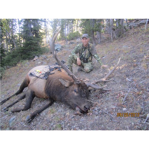 8 Day Free Range Archery Elk Hunt