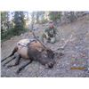 Image 1 : 8 Day Free Range Archery Elk Hunt