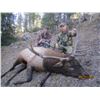 Image 2 : 8 Day Free Range Archery Elk Hunt