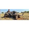 Image 1 : Cape Buffalo Hunt with Wintershoek Safaris
