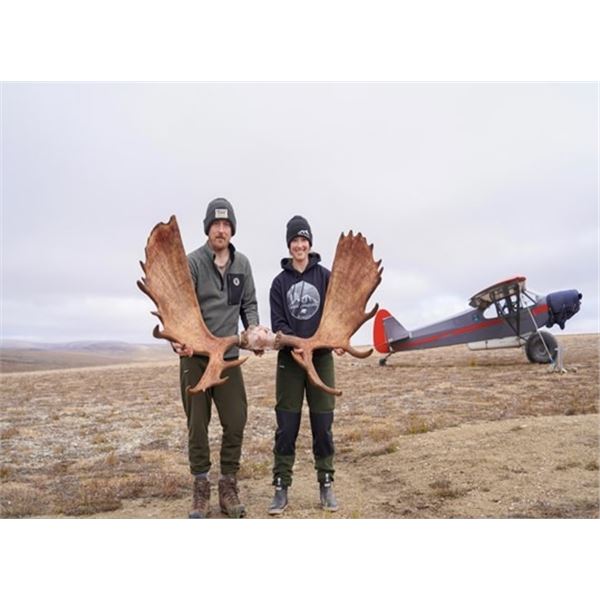 1 x 1, 7 Day Moose Hunt with Great White Holdings