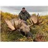 Image 2 : 1 x 1, 7 Day Moose Hunt with Great White Holdings