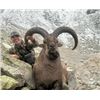 Image 2 : Mid-Caucasian Tur Hunt in Russia