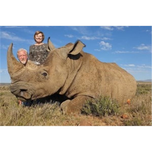 TAM SAFARIS and 6 Day Conservation Tour