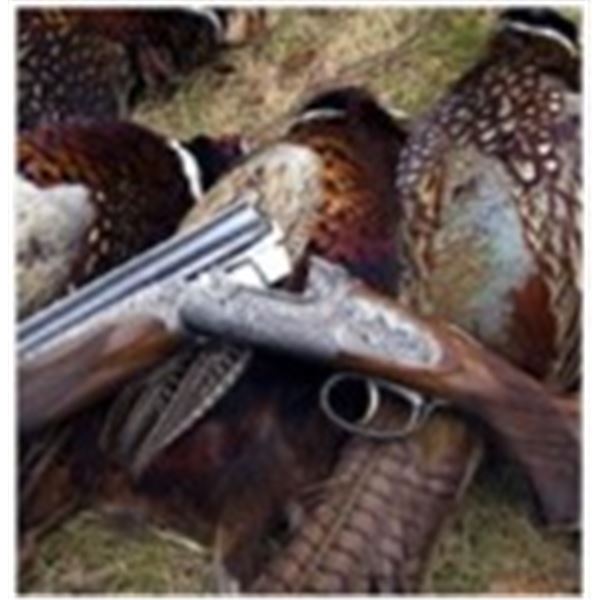Bird Hunt and 1 night accommodation with The Preserve