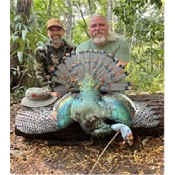 3 Day Oscillated Turkey Hunt in Campeche Mexico with Peninsula Hunters Ltd.