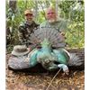 Image 1 : 3 Day Oscillated Turkey Hunt in Campeche Mexico with Peninsula Hunters Ltd.