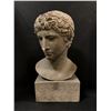 Image 1 : Roman Emperor "head bust" sculpture - approx 17" height