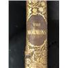 Image 3 : Newport illustrated - Mason, George C 1854 book & The Mormons of Latter-Day London 1851 (no illustra