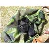 Image 5 : Folding Lawn Chair With Bag, Camo Cover With Bag