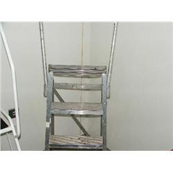 SET ALUMINIUM STEP LADDERS