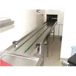 STAINLESS STEEL TRAY CONVEYOR WITH MAGIC EYE 5 MTR LONG APPROX
