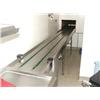 Image 1 : STAINLESS STEEL TRAY CONVEYOR WITH MAGIC EYE 5 MTR LONG APPROX