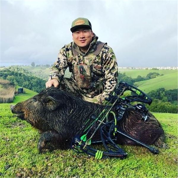 3 Day Pig and Turkey Hunt