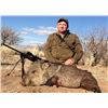 Image 3 : 3-Day Arizona Javelina Hunt for 4 Hunters