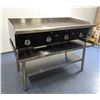 Image 2 : EFI RCTTG-48N 48" Thermostatic Natural Gas Griddle With Stand