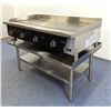 Image 3 : EFI RCTTG-48N 48" Thermostatic Natural Gas Griddle With Stand