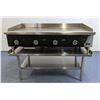 Image 8 : EFI RCTTG-48N 48" Thermostatic Natural Gas Griddle With Stand