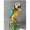 Image 2 : Squawkers Macaw Battery Operated Bird