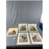 Image 1 : 5 Unframed Bird Prints by B.C. Artist Allan Brooks