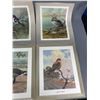 Image 2 : 5 Unframed Bird Prints by B.C. Artist Allan Brooks