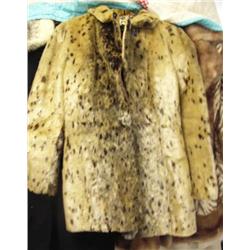 Seal coat (74)