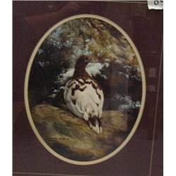 Signed and numbered print double-matted and framed by Annette Hartzell 188 of 950 of ptarmigan 13-1/