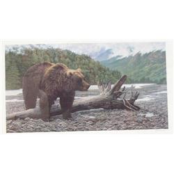 CHOICE on 6: Brown bear by Jim Berydoin 382/750- 16 x 30 (23)
