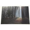 Image 2 : CHOICE on 6: 2 pieces- Scot McDaniels print of Mt. McKinley 11 x 21-1/2; numbered photo of sunlight 