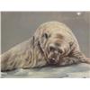 Image 2 : CHOICE on 6: signed and numbered print Ronilee Lynch 199 of 750- 18 " x 24" (23)