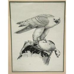 CHOICE on 6: 2 pieces- signed and numbered print by Gary Lyons 180 of 500 of falcon and duck- image 