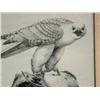 Image 2 : CHOICE on 6: 2 pieces- signed and numbered print by Gary Lyons 180 of 500 of falcon and duck- image 