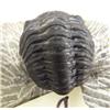 Image 2 : Fossilized trilobite (74)