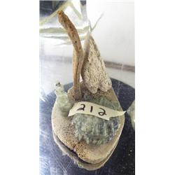 Soapstone shell on bone with other bone adornments (2)