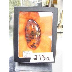 CHOICE on 2 framed amber with bugs (74)