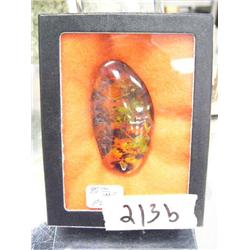 CHOICE on 2 framed amber with bugs (74)