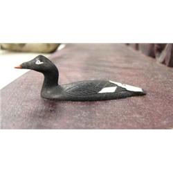 White-winged Scoter by Al Mayac (2)