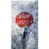 Image 1 : Stop/slow sign with long pole