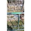 Image 3 : Metal gate 9'wx5'h