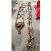Image 1 : Tire chains