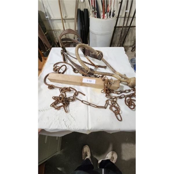 Horse Crupper/lip twitch/Halter