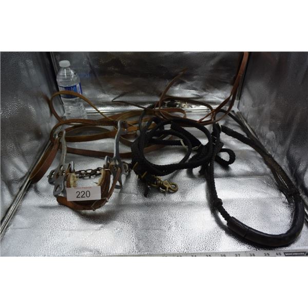 Horse halter/ bit / reins