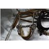 Image 2 : Horse halter/ bit / reins