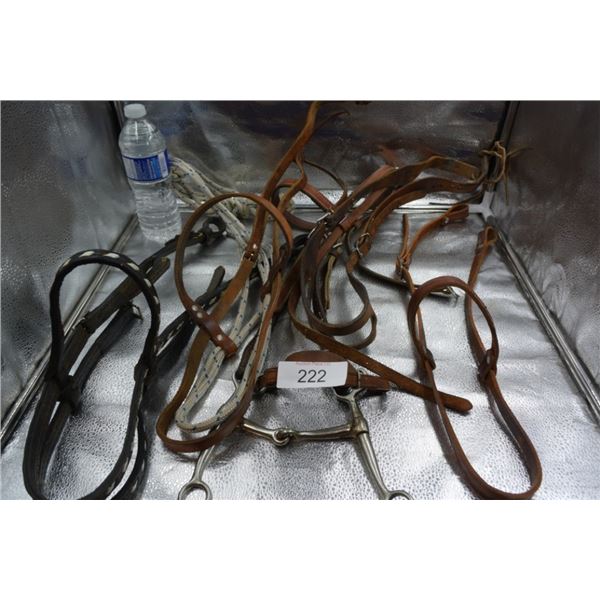 Horse halter/bit/reins