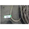 Image 2 : Lasso ropes