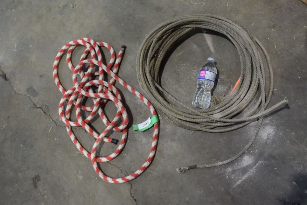 Lasso rope, lead line rope